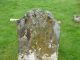 Photo of headstones/thumb_Alex McLennan died 1857 MI Kilchrist, Urray